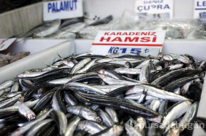 Palamudun yerini hamsi aldı