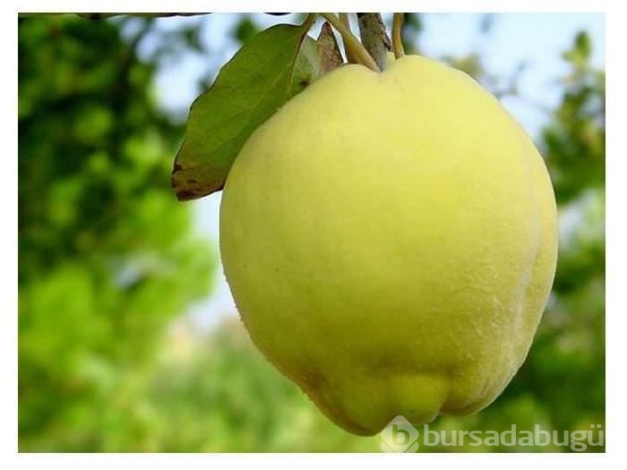 Bu besinler depresyondan koruyor