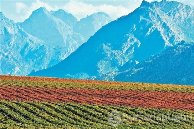 Aralık'ta seyahat etmek için 10 rota