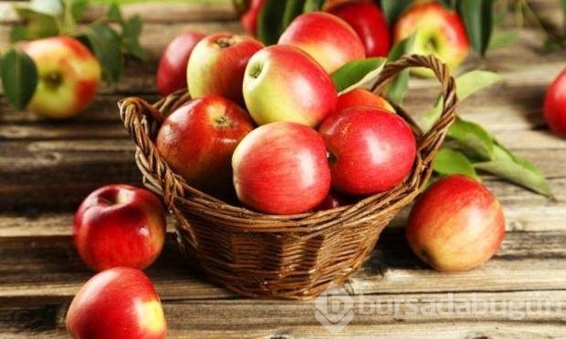 Metabolizmayı kışa hazırlayan 10 besin