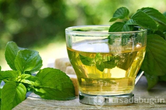 Nane limonun faydaları...