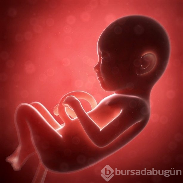 Zeka geni anneden mi yoksa babadan mı geçiyor?