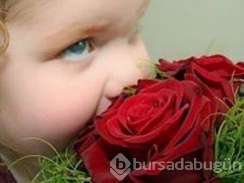 Koku alma becerinizi bakın ne etkiliyor...