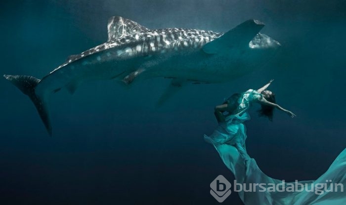 Vahşi hayvanlarla fotoğraf çektirenler