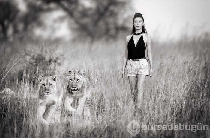 Vahşi hayvanlarla fotoğraf çektirenler