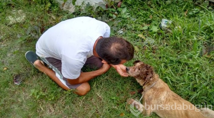Bakın nasıl değiştiler