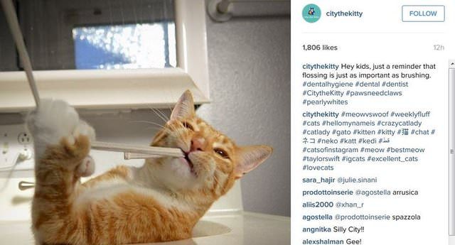 2015'in en popüler İnstagram hashtagleri