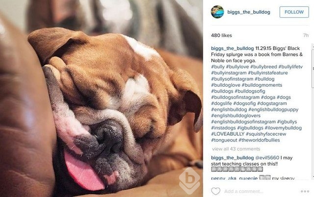 2015'in en popüler İnstagram hashtagleri