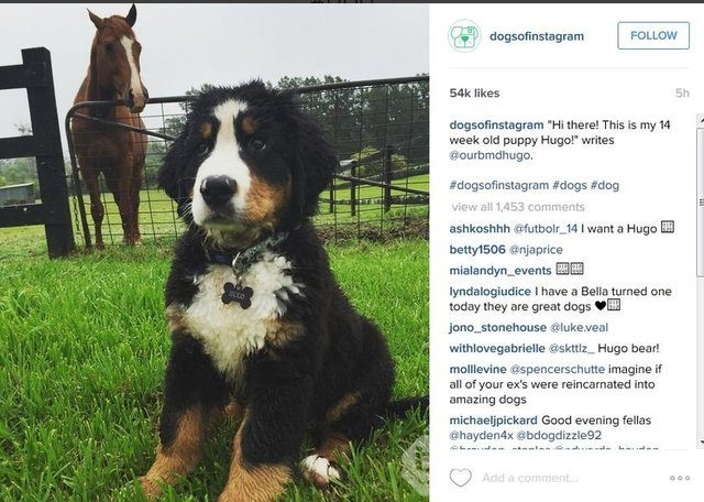 2015'in en popüler İnstagram hashtagleri
