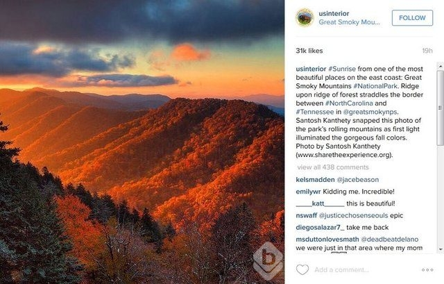 2015'in en popüler İnstagram hashtagleri