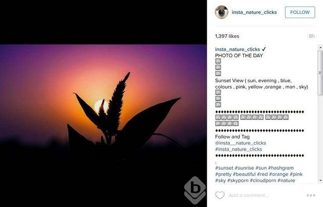 2015'in en popüler İnstagram hashtagleri
