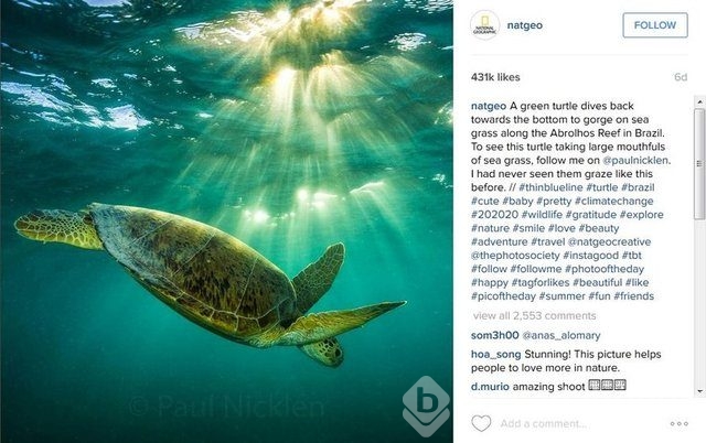 2015'in en popüler İnstagram hashtagleri