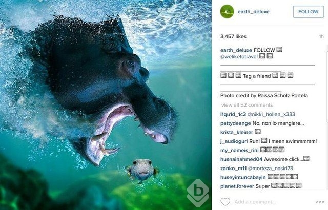 2015'in en popüler İnstagram hashtagleri