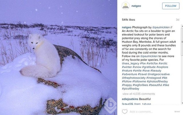 2015'in en popüler İnstagram hashtagleri
