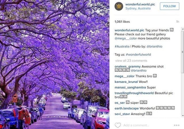 2015'in en popüler İnstagram hashtagleri