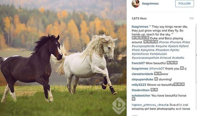 2015'in en popüler İnstagram hashtagleri