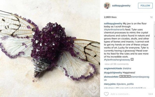 2015'in en popüler İnstagram hashtagleri