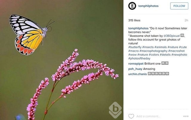 2015'in en popüler İnstagram hashtagleri