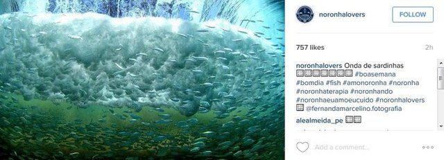 2015'in en popüler İnstagram hashtagleri