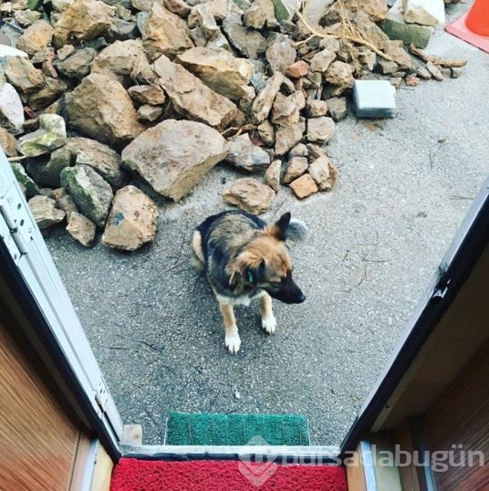İnstagram'da ünlüler 03 Aralık 2015
