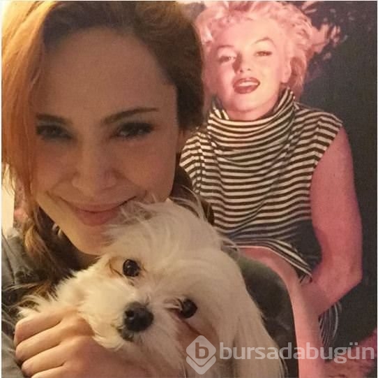 İnstagram'da ünlüler 03 Aralık 2015