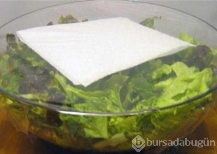 Şaşırtan bilgiler