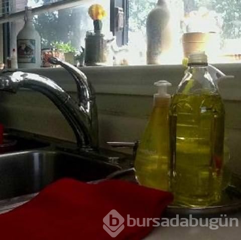 Şaşırtan bilgiler