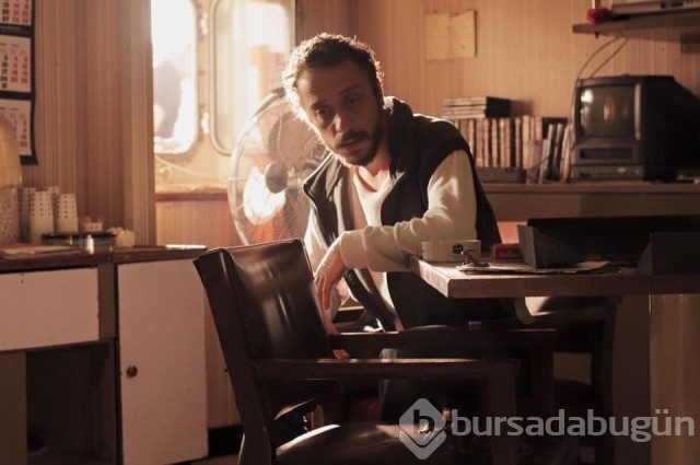 Sarmaşık