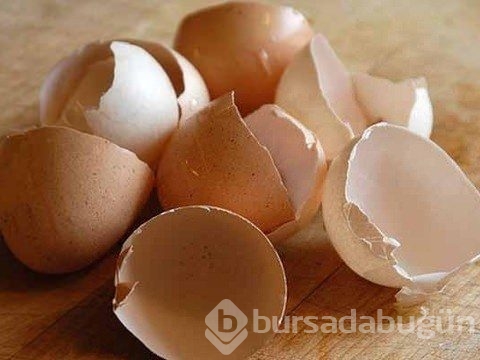 Çöp deyip attıklarınız bakın ne işe yarıyor