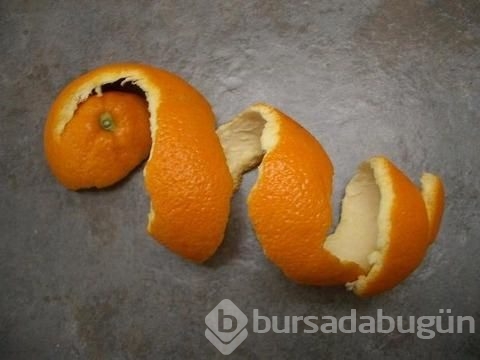 Çöp deyip attıklarınız bakın ne işe yarıyor