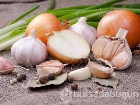 Çöp deyip attıklarınız bakın ne işe yarıyor