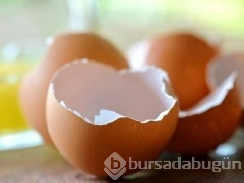 Çöp deyip attıklarınız bakın ne işe yarıyor