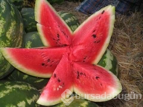 Çöp deyip attıklarınız bakın ne işe yarıyor