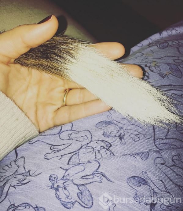 İnstagram'da ünlüler - 04 Aralık 2015