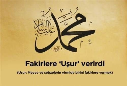 Belki de ilk kez öğreneceksiniz,Peygamber efendimiz cuma günü ne yapardı?