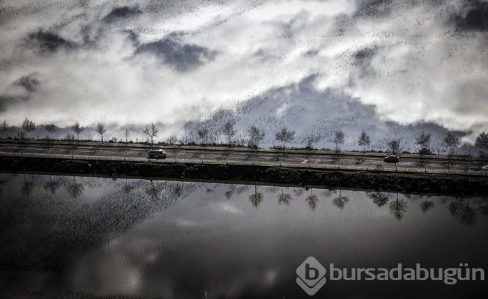 'Yılın fotoğraf'ına aday 47 fotoğraf