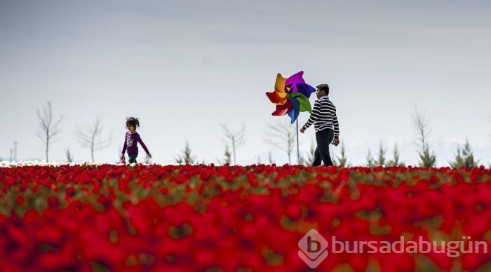 'Yılın fotoğraf'ına aday 47 fotoğraf