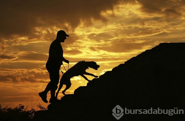 'Yılın fotoğraf'ına aday 47 fotoğraf