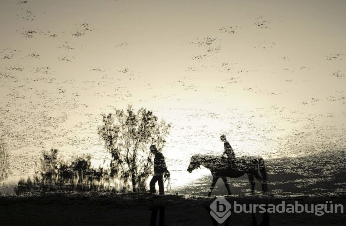 'Yılın fotoğraf'ına aday 47 fotoğraf