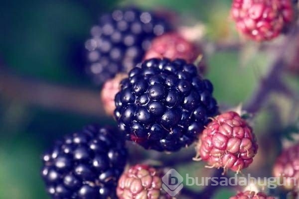 İştahınızı kesecek 20 yiyecek