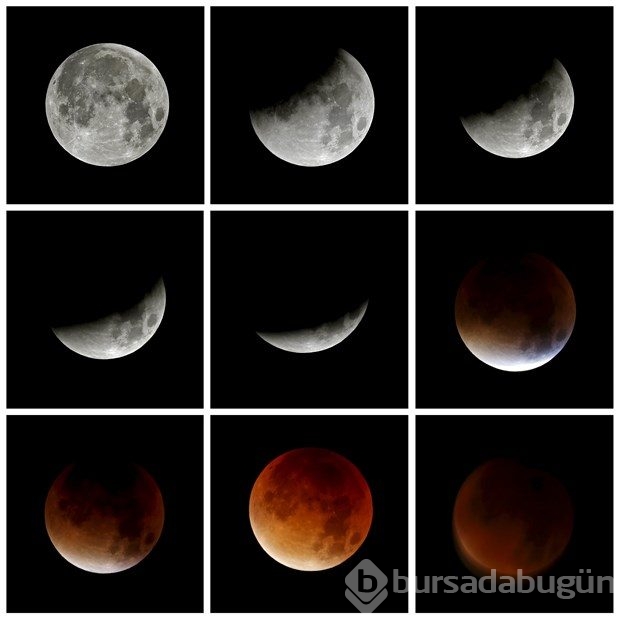Reuters'ın Instagram'da en beğenilen 25 karesi