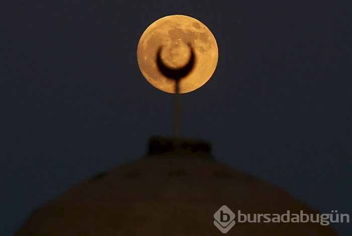 Reuters'ın Instagram'da en çok beğenilen 24 karesi