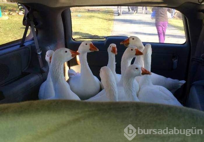 Bu fotoğraflar biraz farklı
