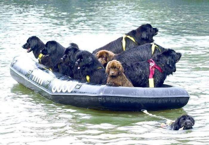 Bu fotoğraflar biraz farklı