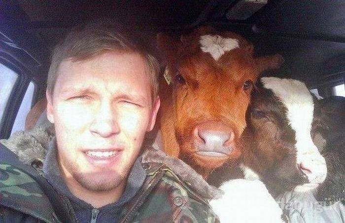 Bu fotoğraflar biraz farklı