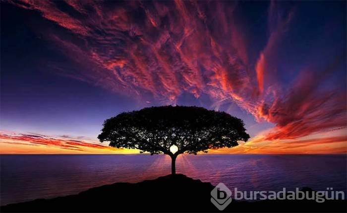 Bu fotoğraflar biraz farklı