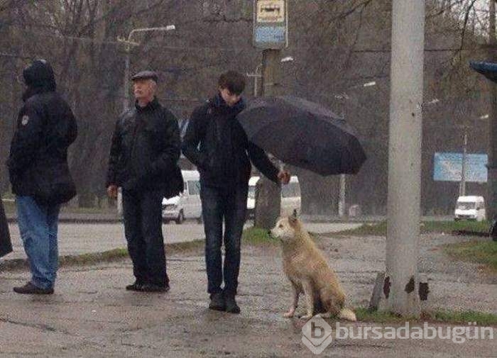 Bu fotoğraflar biraz farklı