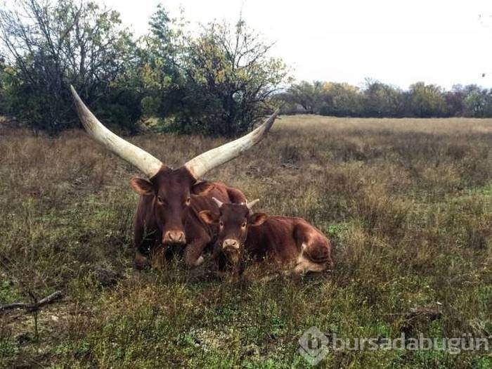Bu fotoğraflar biraz farklı