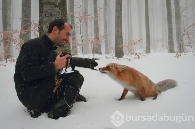 Doğadaki hayvanların fotoğraf merakı