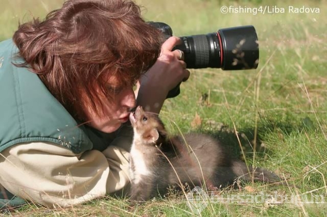 Doğadaki hayvanların fotoğraf merakı